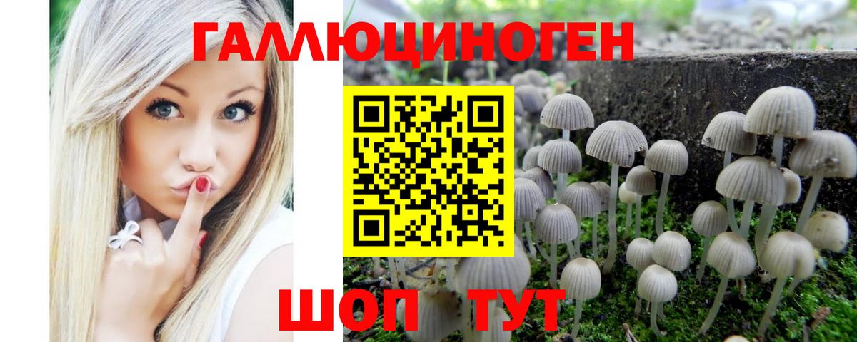 Псилоцибиновые грибы Cubensis Кемерово