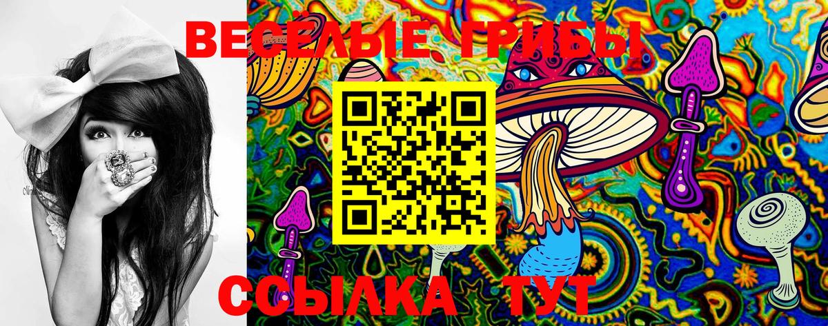 Псилоцибиновые грибы Psilocybe  Вход с VPN  Кемерово  Псилоцибиновые грибы Psilocybine cubensis 